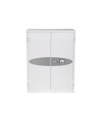 Armoire forte ignifuge Fire...