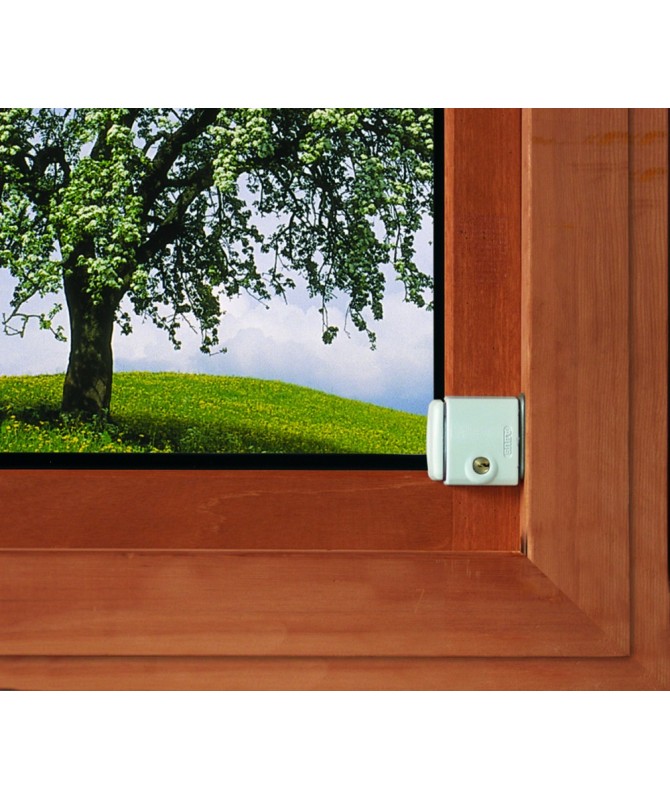 Sécurité Supplémentaire Pour La Fenêtre Fts3002...