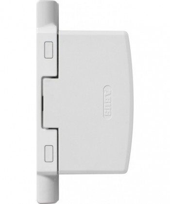 Protection Des Paumelles...