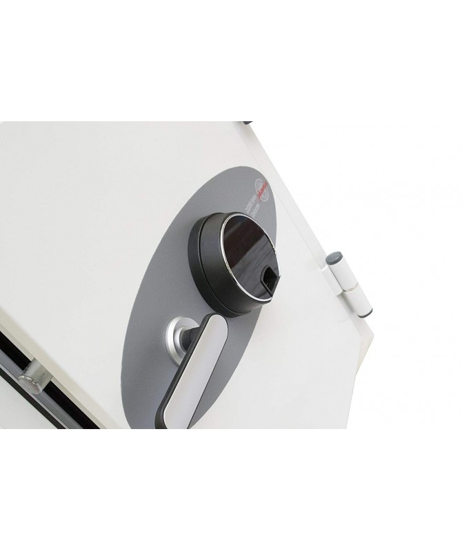 Coffre fort à serrure biométrique Datacare DS2002F