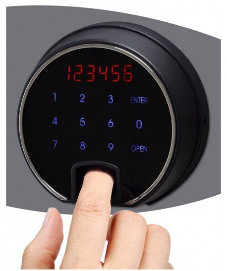 Armoire forte à serrure biométrique Data Commander DS4623F