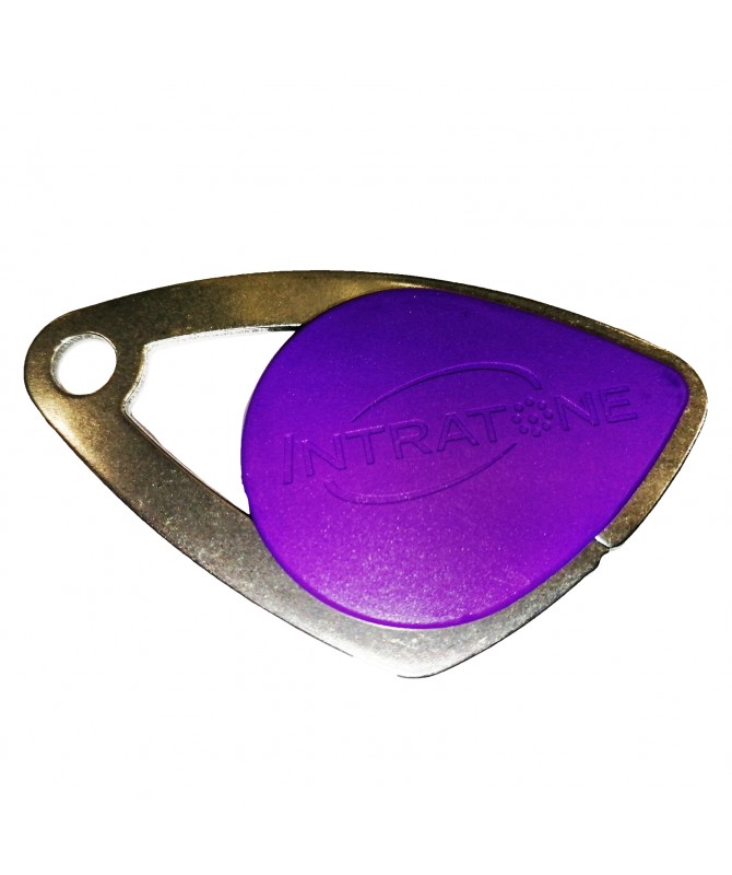 Badges Vigiks Intratone