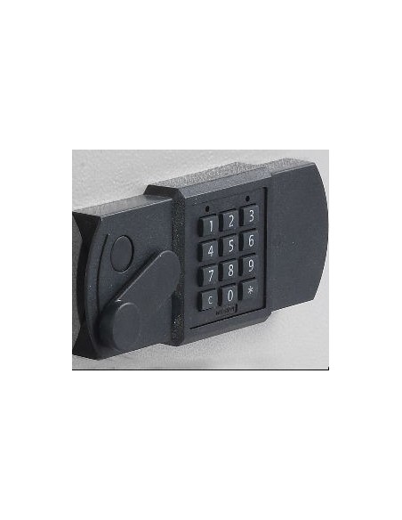 Armoire Forte Clés Protect 10 Serrure À Combinaison Électronique Classe 2 Vds