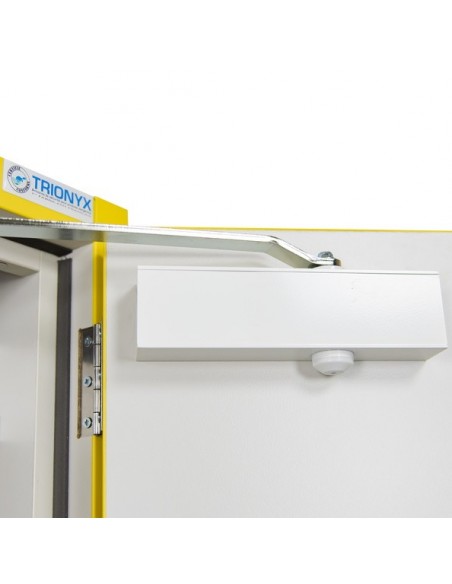 Armoire De Sécurité En 14470-1 Et FM 6050 30 Minutes - Comptoir 2 Portes -3033ue