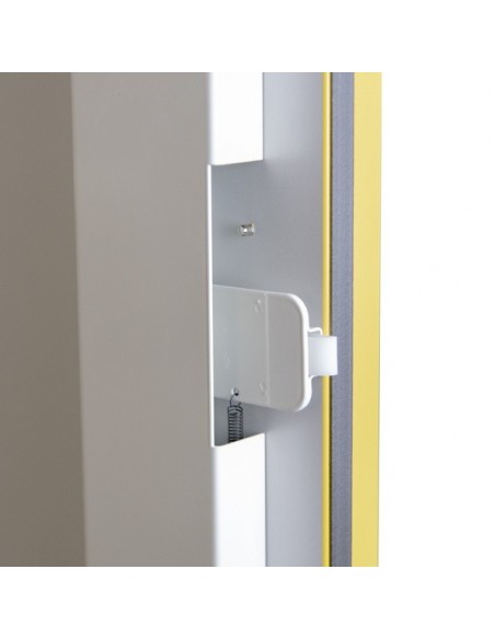 Armoire De Sécurité En 14470-1 Et FM 6050 30 Minutes - Haute 2 Portes -3035e