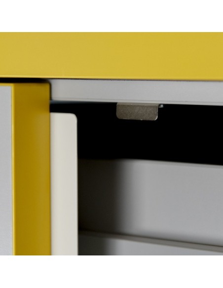 Armoire De Sécurité En 14470-1 Et FM 6050 30 Minutes - Haute 2 Portes -3035e