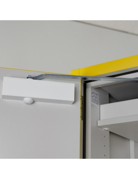 Armoire De Sécurité En 14470-1 Et FM 6050 30 Minutes - Haute 2 Portes -3035e