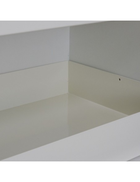 Armoire De Sécurité En 14470-1 90 Minutes - Comptoir 2 Portes - 3 Compartiments -793+M12