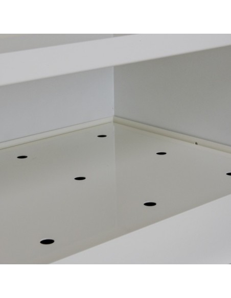 Armoire De Sécurité En 14470-1 90 Minutes - Comptoir 2 Portes - 3 Compartiments -793+M12