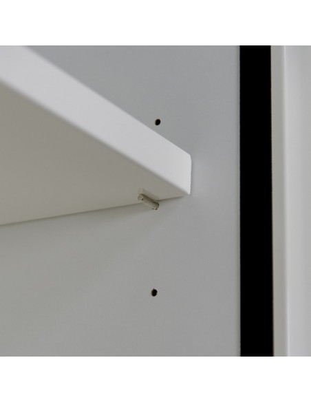 Armoire De Sécurité En 14470-1 90 Minutes - Comptoir 2 Portes - 3 Compartiments -793+M12