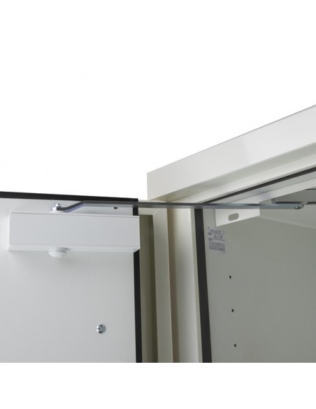 Armoire De Sécurité En 14470-1 90 Minutes - Haute 2 Portes - 2 Compartiments -795+M11