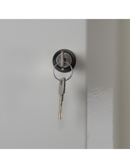 Armoire De Sécurité En 14470-1 90 Minutes - Haute 2 Portes - 2 Compartiments -795+M11