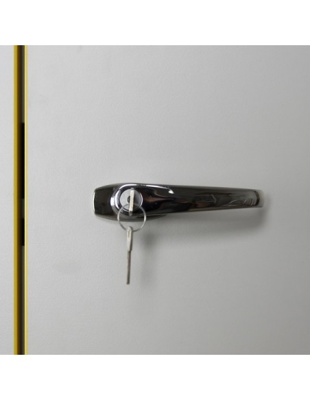 Armoire De Sécurité En 14470-1 Et FM 6050 30 Minutes - Haute 2 Portes -3035ue