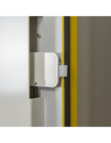 Armoire De Sécurité En 14470-1 Et FM 6050 30 Minutes - Haute 2 Portes -3035ue