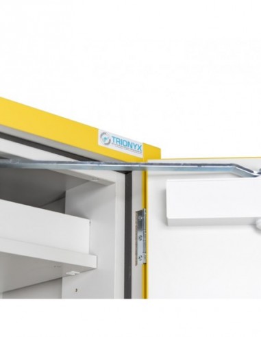 Armoire De Sécurité Haute 2 Portes En 14470-1...