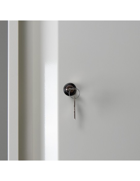 Armoire De Sécurité - Haute 1 Porte À Équiper -794+Li