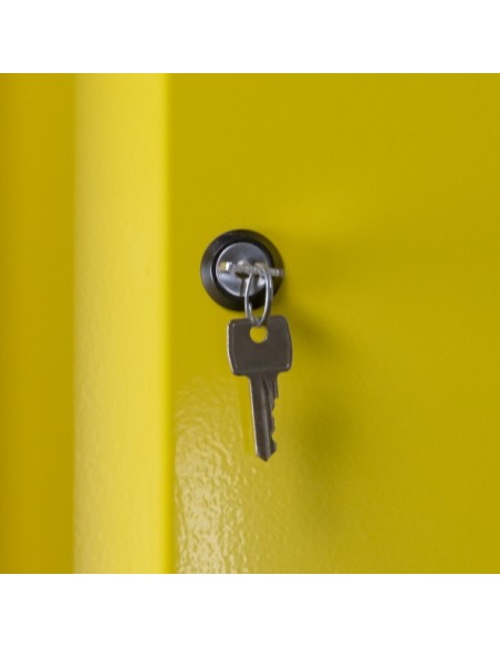 Armoire De Sécurité En 14470-1 90 Minutes - Haute 1 Porte Jaune -794+Pje