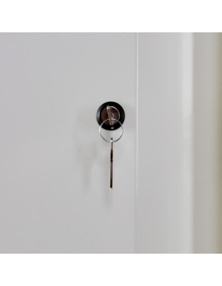 Armoire De Sécurité En 14470-1 90 Minutes - Sous-Paillasse 2 Portes - Pour Récupération De Déchets -792+Ard