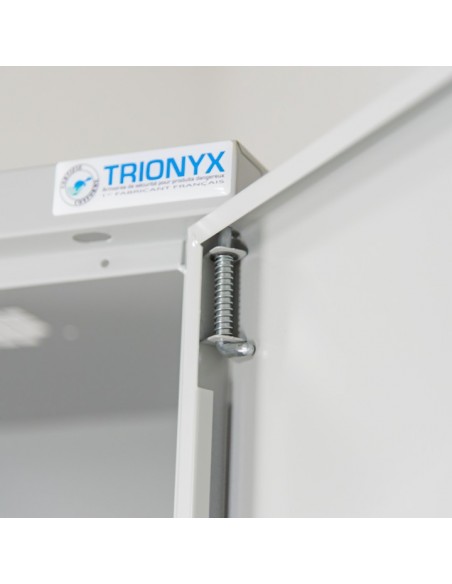 Armoire De Sécurité Pour Le Stockage De Produits Dangereux - Haute 1 Porte - AL155