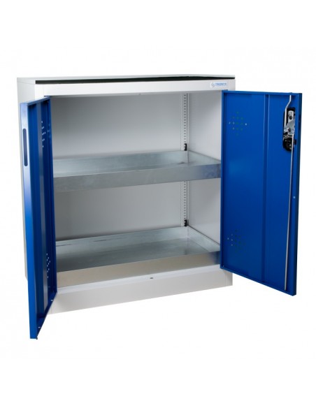 Armoire De Sécurité Comptoir 2 Portes Bleues - AZ110B