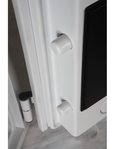 Coffre fort à serrure à clé Datacare DS2001K