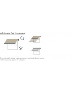 Capteur Pluviomètre Radio... 2