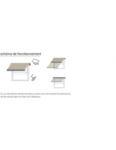 Capteur Pluviomètre Radio Via Tx Domotico Ruggiada