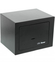 Coffre Fort Burg Wachter...