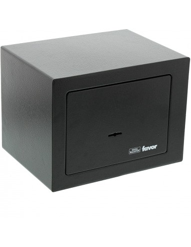 Coffre Fort Burg Wachter Favor S1 K Serrure À Clé