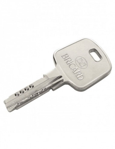 Cylindre Double Entrée Européen Serial  Bricard