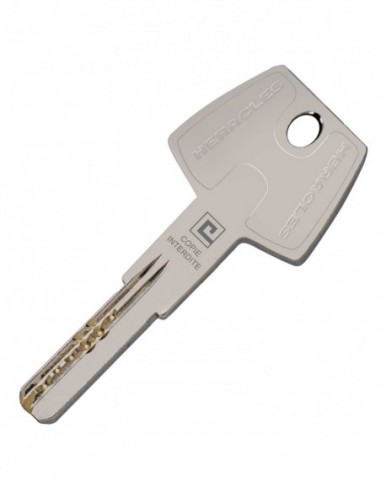 Heracles Cylindre Double entrée MG4 Européen...