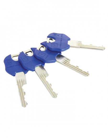 Heracles Cylindre Européen Y9