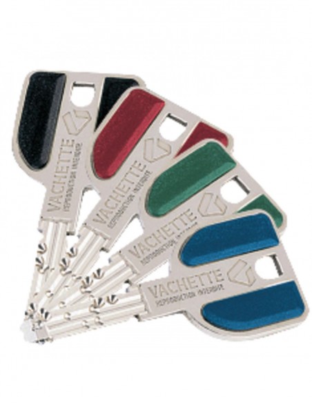 Cylindre Double Entrée  Européen Vachette Radialis