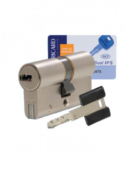 Bricard Cylindre Double Entrée Européen Dual Xp S