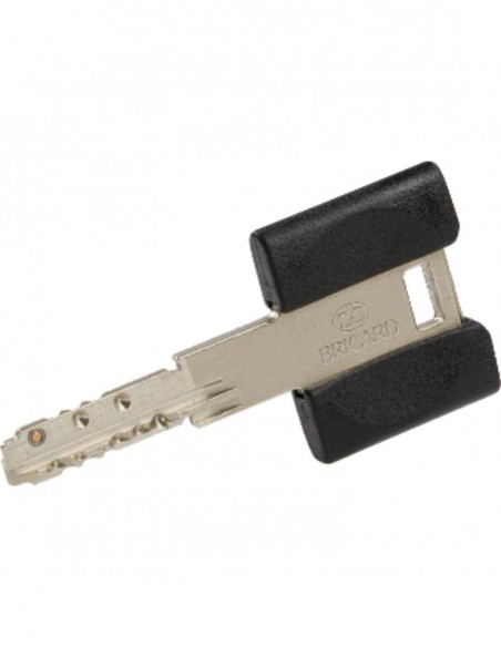 Bricard Cylindre A Bouton Européen Dual Xp S