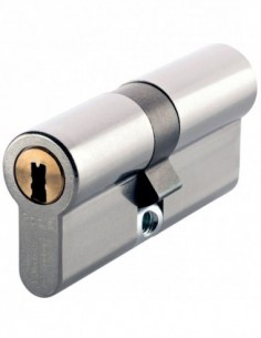 Vachette Cylindre Européen...