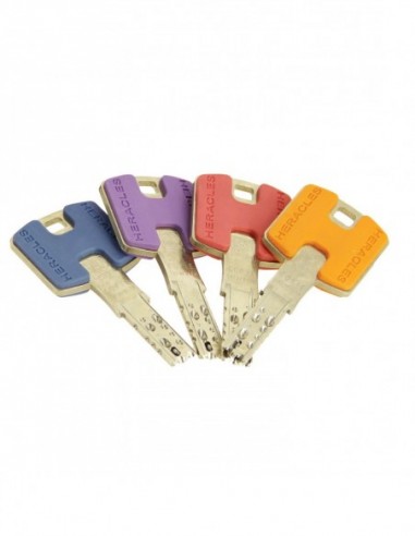 Heracles Cylindre A Bouton Européen Platinium Hq