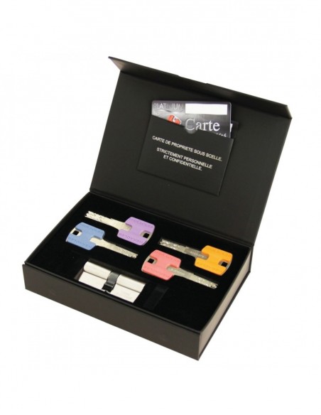 Heracles Cylindre A Bouton Européen Platinium Hq