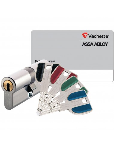 Vachette Cylindre Double Entrée A2P** Européen...