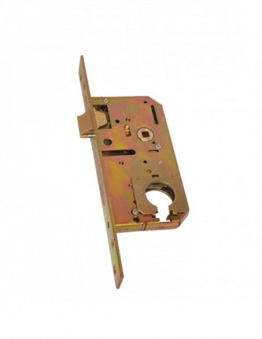 Fichet Monopoint À Larder Pour Cylindre Monobloc