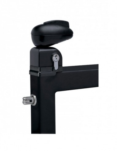 Locinox Serrure De Piscine Twist 40