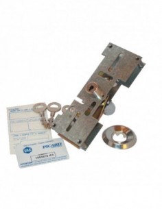 Picard Mécanisme De Carénée...