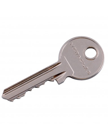 Heracles Verrou À Bouton Eco