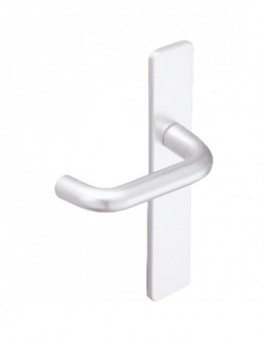 Vachette Ensemble Sur Plaques Bercy