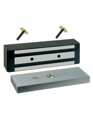 Sewosy Ventouses Encastrées 500kg