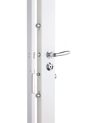 Serrure carénée 5 points Présence 2 A2P*