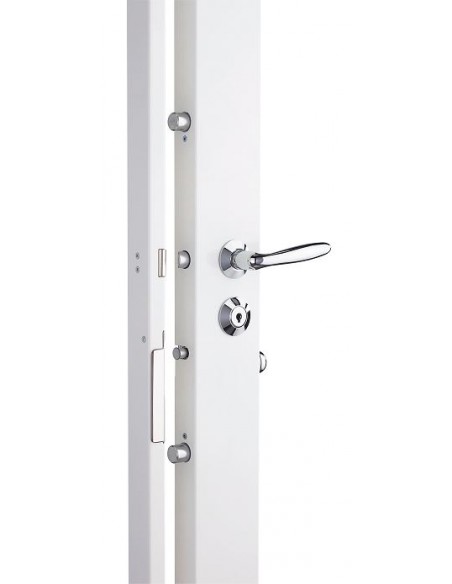 Serrure carénée 5 points Présence 2 A2P*