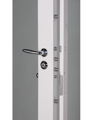 Serrure carénée 7 points Présence 3 A2P***