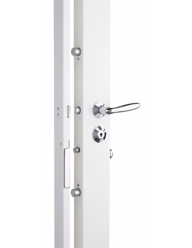 Serrure carénée 5 points Présence 2 Étroite A2P*