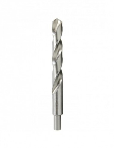 Foret Hss Taillé Meulé Queue Réduite